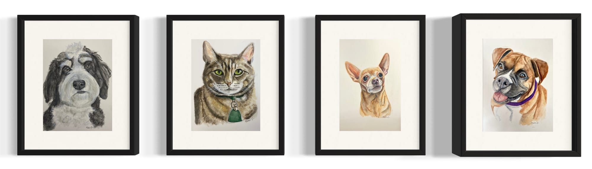 Pet Portraits